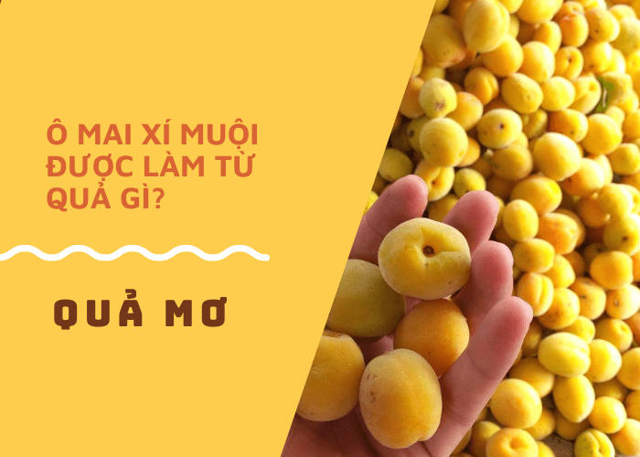 Ô mai xí muội làm từ quả gì?